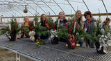 Winter Porch Pot or Wreath Workshop